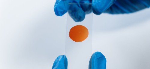 The Most Popular DNA Kits And Why You Need Them
